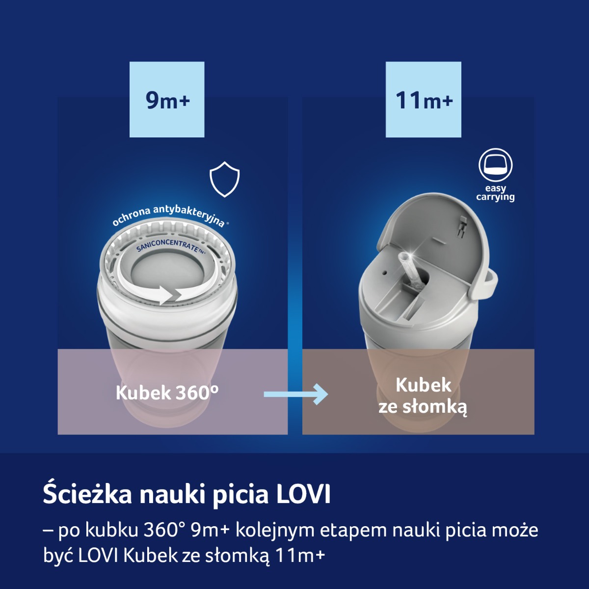 Kubek 360° LOVI Drink Master 250 ml Buddy Bear