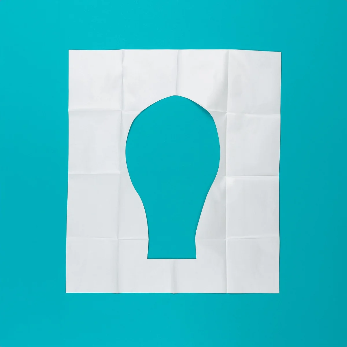 Canpol babies Jednorazowe spłukiwalne nakładki na toaletę 10 szt.